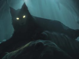 Holy cats! Netflix drops surprise Sandman bonus episode! Sandman bonus episode