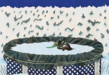 REVIEW – GENEVIÈVE CASTRÉE: COMPLETE WORKS a vulnerable monograph