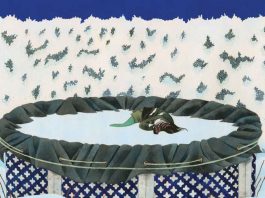 REVIEW – GENEVIÈVE CASTRÉE: COMPLETE WORKS a vulnerable monograph