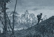 Emmanuel Guibert becomes second ever cartoonist to be elected to France’s Academy of Fine Arts