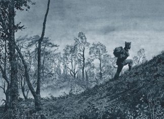 Emmanuel Guibert becomes second ever cartoonist to be elected to France’s Academy of Fine Arts