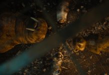 REVIEW: GUARDIANS OF THE GALAXY VOL. 3 delivers the emotional finale we all wanted