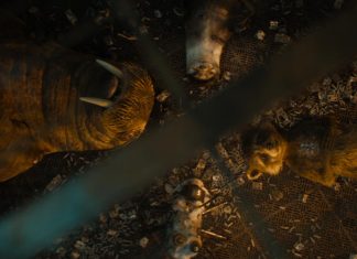 REVIEW: GUARDIANS OF THE GALAXY VOL. 3 delivers the emotional finale we all wanted