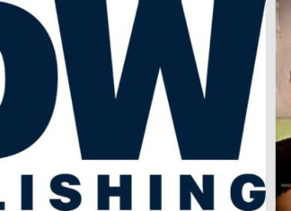 INTERVIEW: Meet Davidi Jonas, the new CEO of IDW