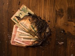 NFT Watch: Creator royalties tank n OpenSea; Bored Apes lawsuit grows