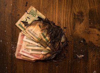 NFT Watch: Creator royalties tank n OpenSea; Bored Apes lawsuit grows