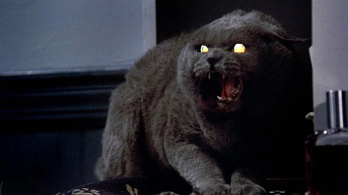 Church the Cat in King's Pet Sematary