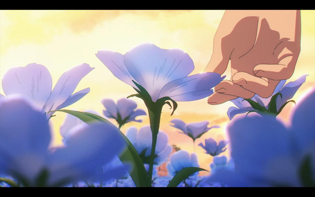 hand touches flower