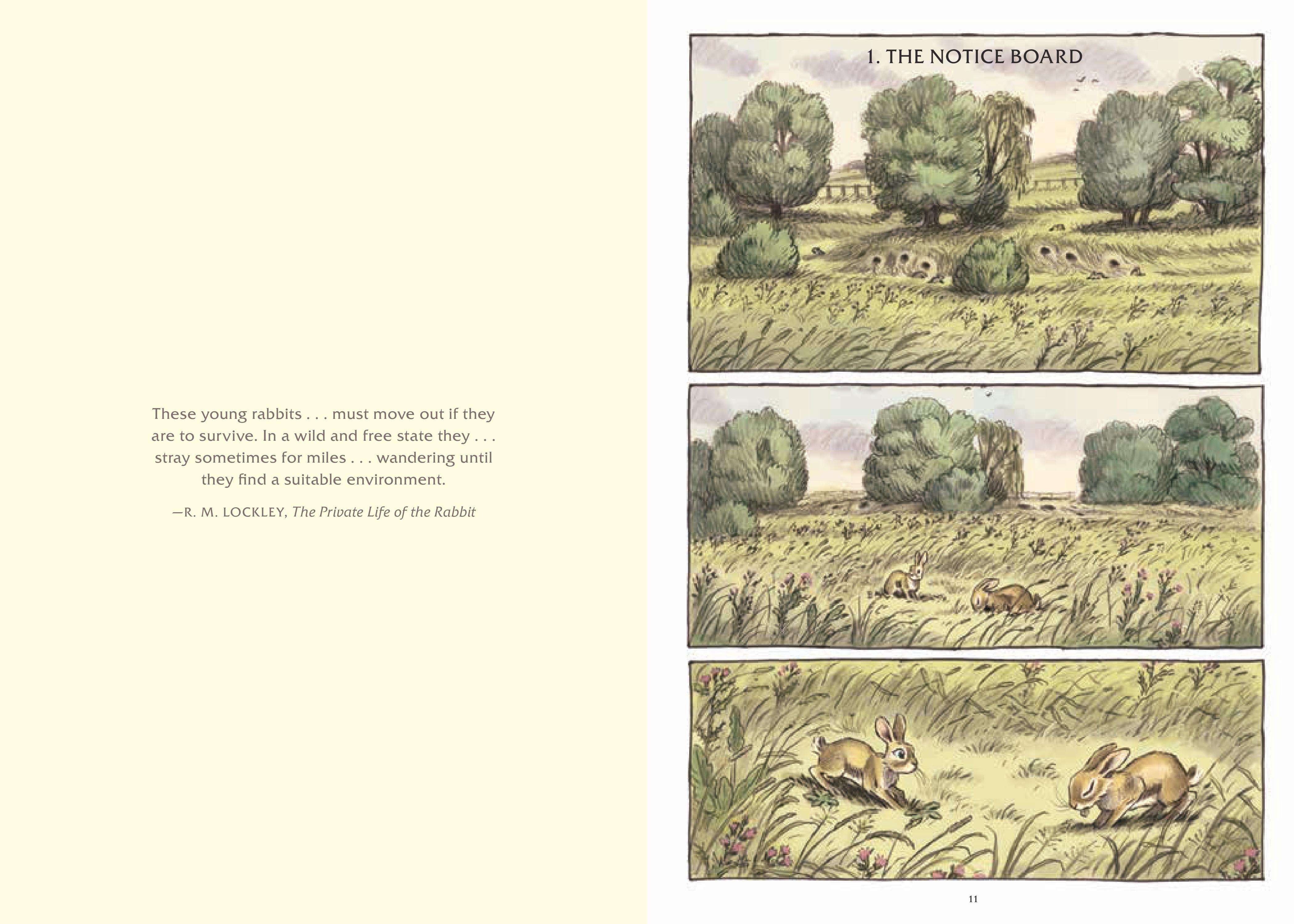 Pages from Watership Down