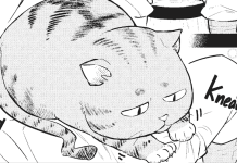 MANGA REVIEW: Cat on the Hero’s Lap Vol. 1 inserts cat hijinks into fantasy storytelling Cat on the Hero's Lap
