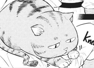 MANGA REVIEW: Cat on the Hero’s Lap Vol. 1 inserts cat hijinks into fantasy storytelling Cat on the Hero's Lap