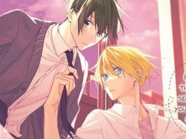 Hirano and Kagiura Cover, Cropper