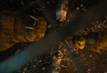 James Gunn named PETA’S Person of the Year James Gunn PETA