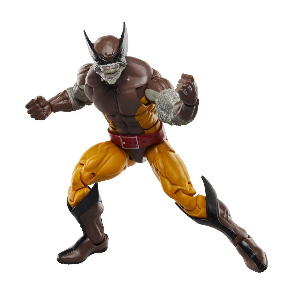 Wolverine 50th