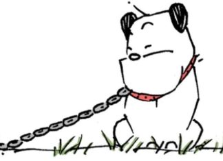 MUTTS creator Patrick McDonnell pens letter reflecting on heart-breaking Guard Dog storyline