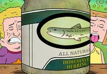 Small Press Spotlight: THE EFFECTS OF PICKLED HERRING cover reveal The Effects of Pickled Herring