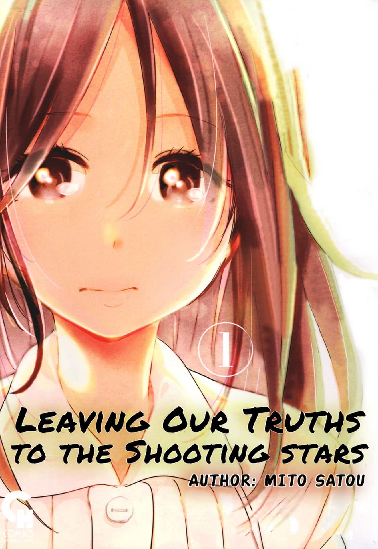 Leaving Our Truths to the Shooting Stars by Mito Satou