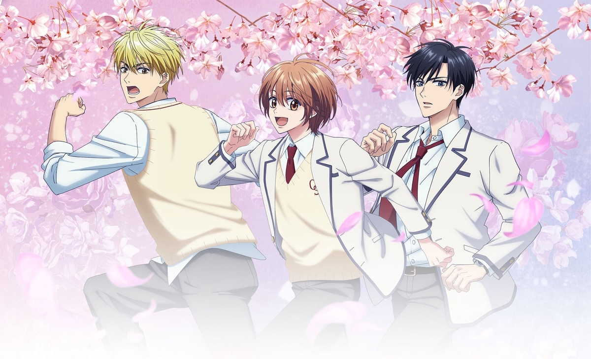 Hana-Kimi shojo manga finally gets anime adaptation