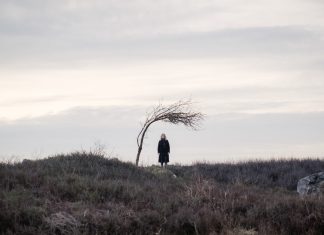 TV Review: Doctor Who lets Ruby Sunday look for hope every ’73 Yards’ A zoomed-out shot of a figure underneath a bent tree. The figure is wearing black but nothing else is discernible. They stand 73 yards away from the camera.