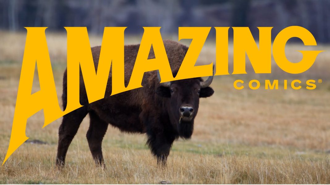 Amazing Comics banner