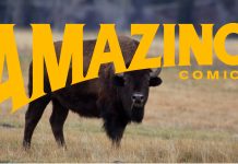 SDCC ’24: Joe Quesada’s Amazing Comics imprint launches under Mad Cave & Dupuis Amazing Comics banner