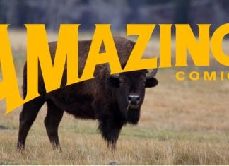 SDCC ’24: Joe Quesada’s Amazing Comics imprint launches under Mad Cave & Dupuis Amazing Comics banner