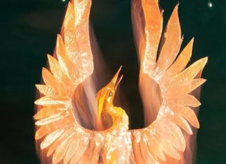 SDCC ’24: Tor Books reveals programming schedule & giveaways