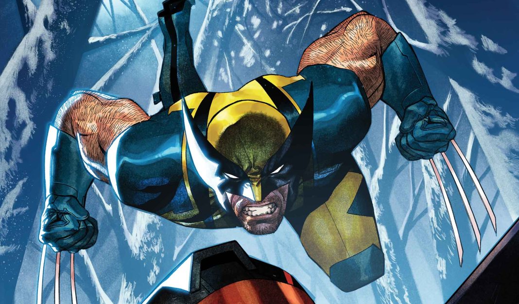 wolverine