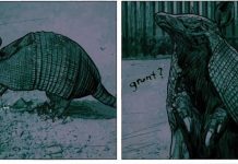 Kibbles ‘n’ Bits 8/16/24: Beneath finds horror at a detention camp. beneath armadillo