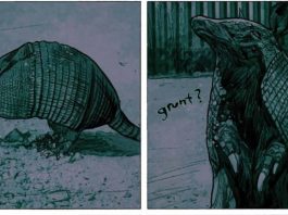 Kibbles ‘n’ Bits 8/16/24: Beneath finds horror at a detention camp. beneath armadillo