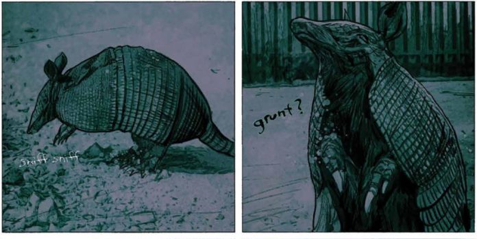 beneath-lg beneath armadillo