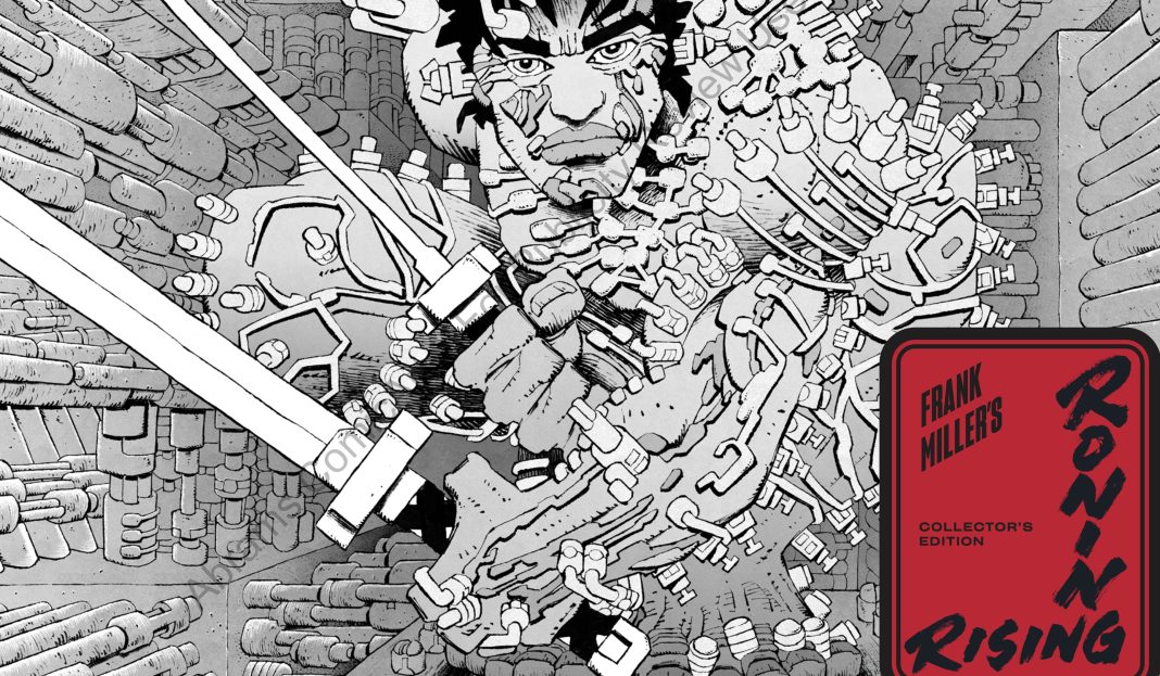 RONIN RISING cover Ronin Rising Cover