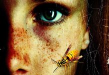 INTERVIEW: Nick Cutter digs deep into his body horror bag for the insect-infested THE QUEEN