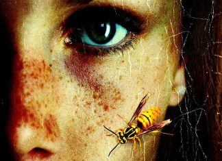 INTERVIEW: Nick Cutter digs deep into his body horror bag for the insect-infested THE QUEEN