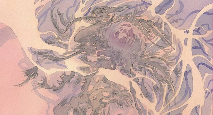 Anzuelo Banner Anzuelo