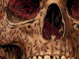 Graphic Novel Review: SATAN’S SWARM is like an old horror movie your parents didn’t want you to watch