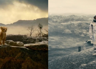 Interstufasa: I saw interstellar and Mufasa in one day and this is what it was like