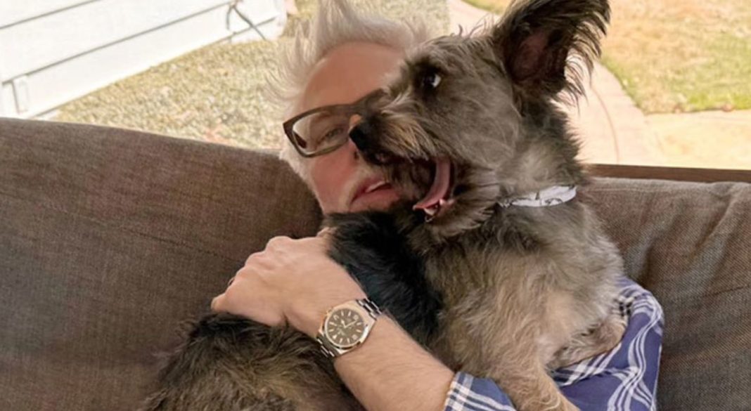 James Gunn Ozu Puppy Bowl