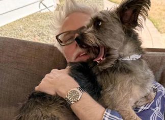 James Gunn and his dog Ozu set to appear during Puppy Bowl XXI to promote SUPERMAN movie James Gunn Ozu Puppy Bowl