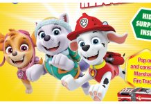 PREVIEW: Dynamite Kids Announces PAW PATROL Novelty Board Book!