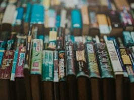 Sales Chart: Graphic Novel sales fell in 2024