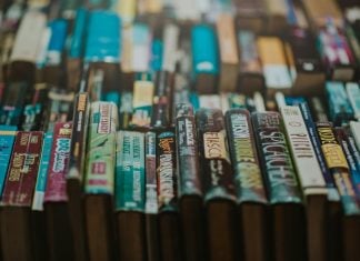 Sales Chart: Graphic Novel sales fell in 2024