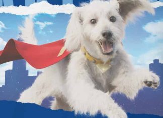 Krypto the Superdog takes flight in must-have adorable merchandise! Krypto the Superdog
