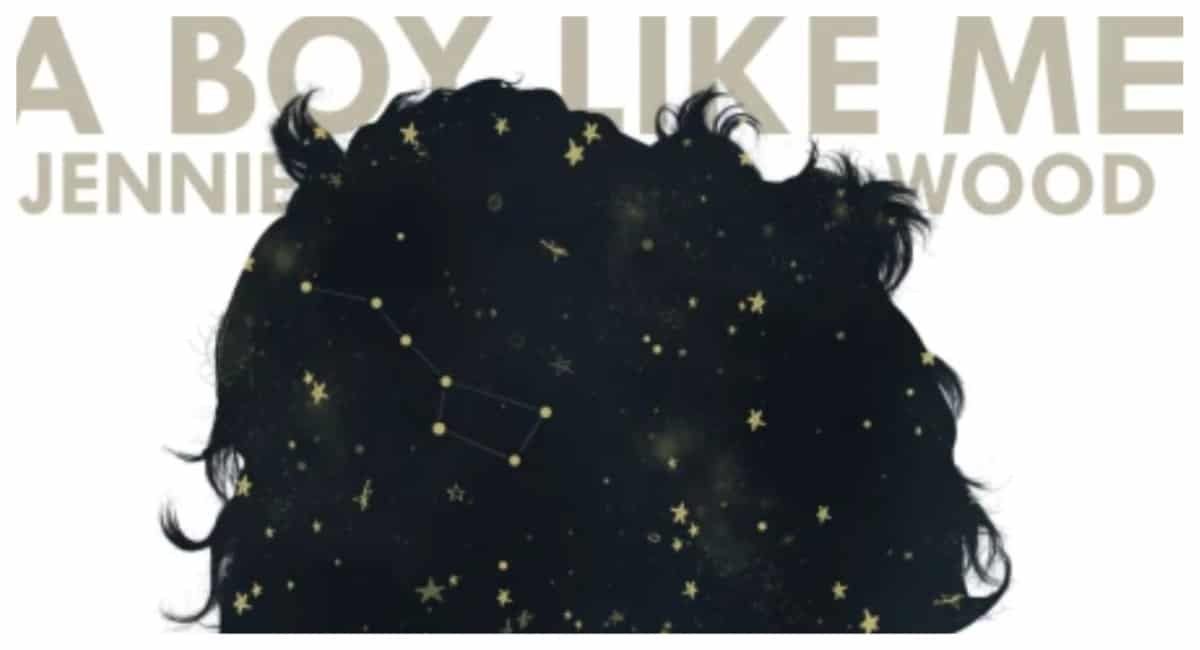 A Boy Like Me cover art of a sea of black hair with stars inside