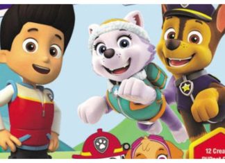 PAW PATROL Books on the Way from Dynamite Kids!