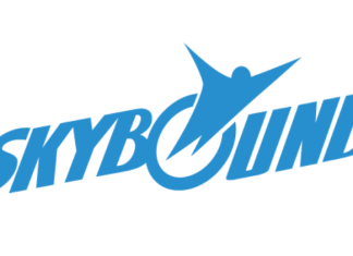 Skybound looks for private investors for their video game business
