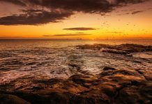 Bookscan 2025: End of the Trail Photo by Ray Bilcliff: https://www.pexels.com/photo/scenic-view-of-a-beach-at-sunset-23914469/