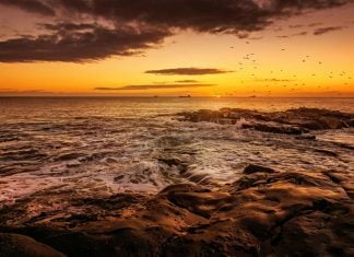 Bookscan 2025: End of the Trail Photo by Ray Bilcliff: https://www.pexels.com/photo/scenic-view-of-a-beach-at-sunset-23914469/