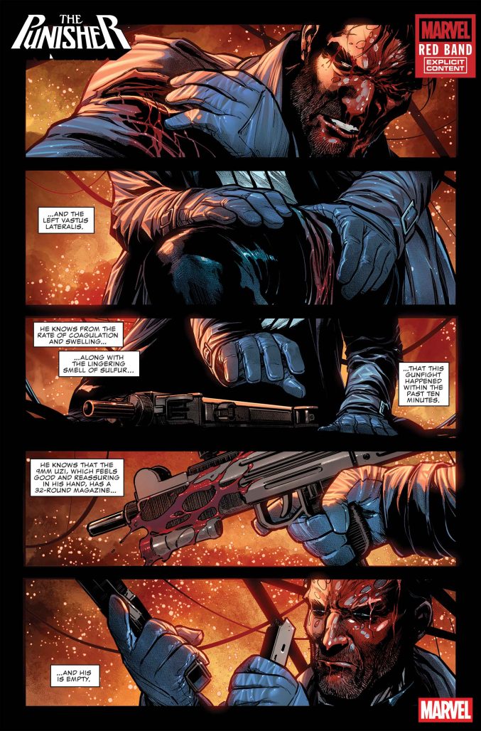 Frank Castle Punisher