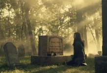 Former IDW exec David Ozer sentenced in embezzlement case